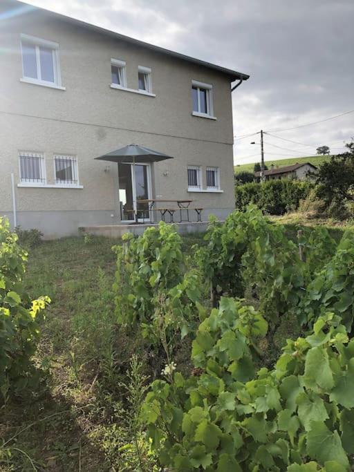 Petit Gite De Javernieres Rez De Jardin Villié-Morgon Exterior foto